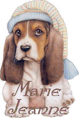 chien_bonnetdenuit_marie_jeanne.gif
