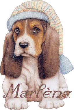chien_bonnetdenuit_marlene.gif