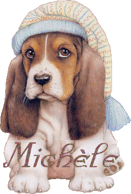 chien_bonnetdenuit_michele.gif