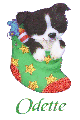 chien_chaussettenoel_odette.gif