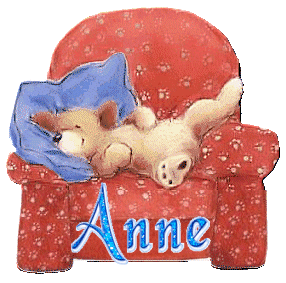 chien_fauteuilrouge_anne.gif