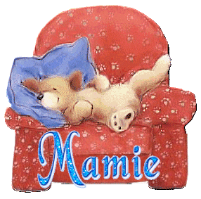 chien_fauteuilrouge_mamie.gif