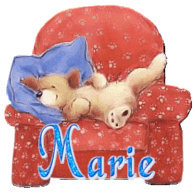 chien_fauteuilrouge_marie.gif