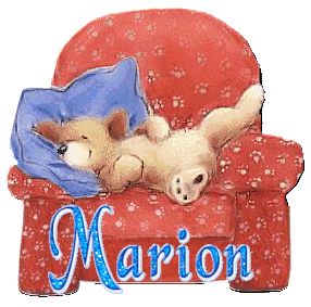chien_fauteuilrouge_marion.gif