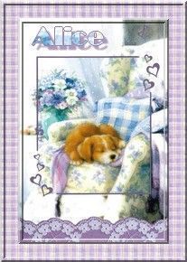 chiot_endormi_alice.jpg
