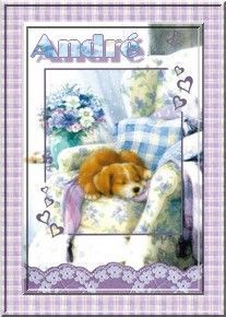 chiot_endormi_andre.jpg