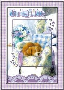 chiot_endormi_brigitte.jpg