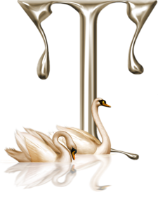 cigne0_16d72f_5a799eac_M-19.png