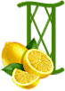 citron-433-9.gif