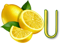 citron-8777-21.png