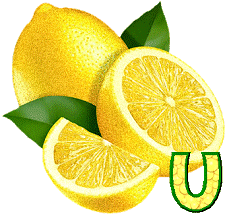 citron-9999-21.gif