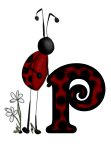 cocci-54500650600-16.gif