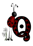 cocci-54500650600-17.gif