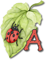 coccinell-878787-1.png