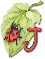 coccinell-878787-10.png