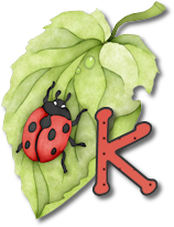 coccinell-878787-11.png