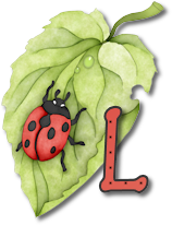 coccinell-878787-12.png