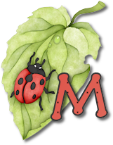 coccinell-878787-13.png