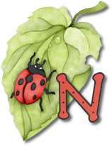 coccinell-878787-14.png