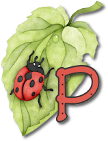 coccinell-878787-16.png