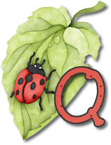 coccinell-878787-17.png