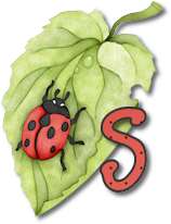 coccinell-878787-19.png