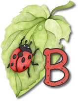 coccinell-878787-2.png