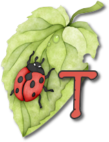 coccinell-878787-20.png