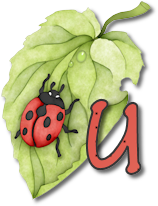 coccinell-878787-21.png