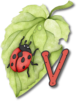 coccinell-878787-22.png