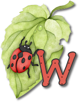 coccinell-878787-23.png