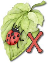 coccinell-878787-24.png