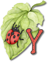 coccinell-878787-25.png