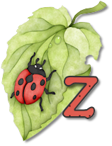 coccinell-878787-26.png