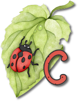 coccinell-878787-3.png