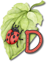 coccinell-878787-4.png