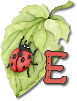 coccinell-878787-5.png