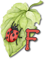 coccinell-878787-6.png