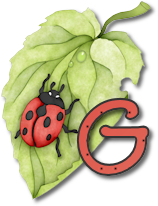 coccinell-878787-7.png