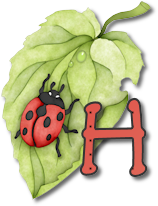 coccinell-878787-8.png