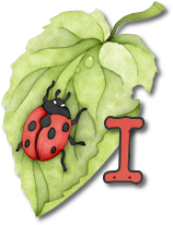 coccinell-878787-9.png