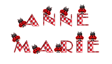 coccinelle_alpha_anne_marie.gif