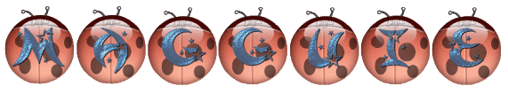coccinelle_alphaverre_magguie_r65.gif