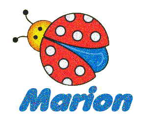 coccinelle_glitter_marion.gif