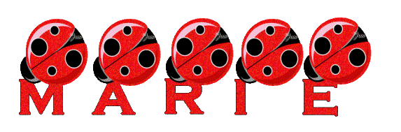 coccinelles_rouges_marie.gif