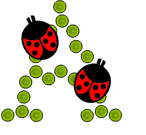 coccinnel-65566565-1.png