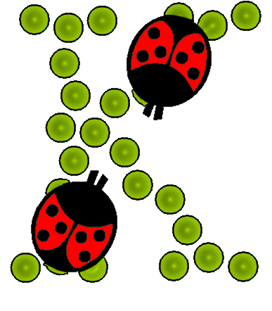 coccinnel-65566565-11.png