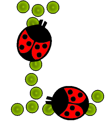 coccinnel-65566565-12.png