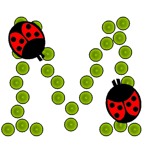 coccinnel-65566565-13.png