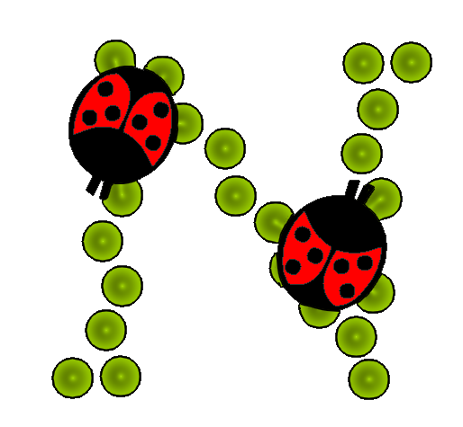 coccinnel-65566565-14.png